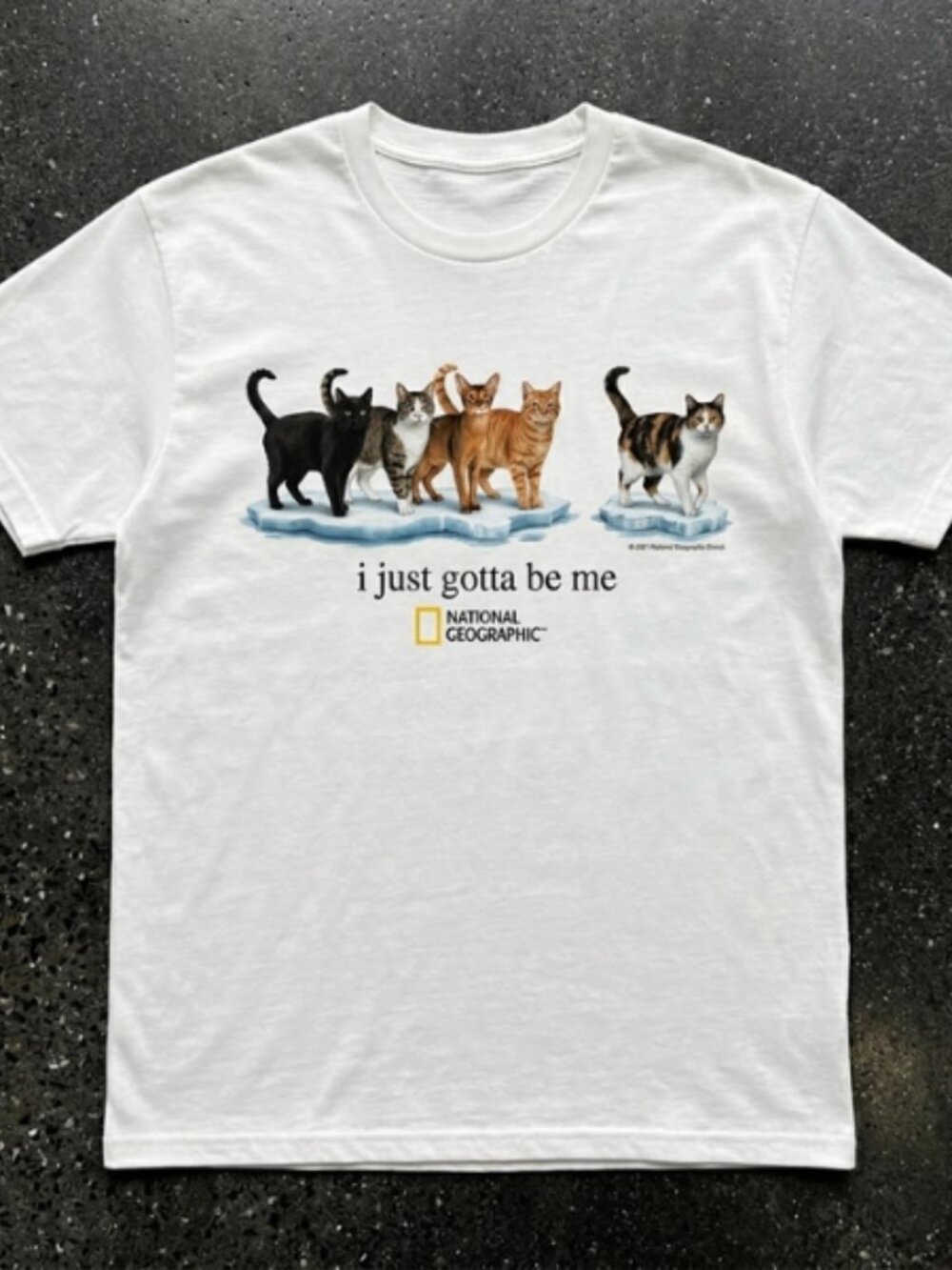 Cats Graphic T-Shirt – I Just Gotta Be Me
